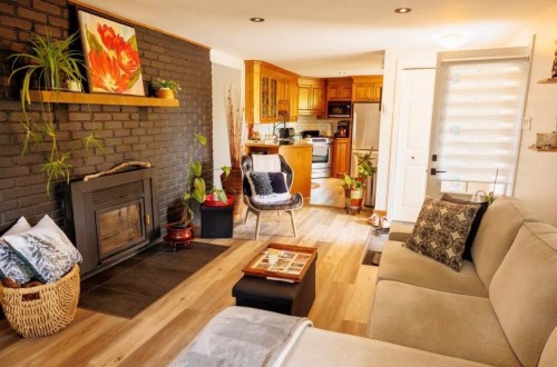 Salon - 44A Rue Robert, Saint-Sauveur, QC - Indoor Photo Showing Living Room With Fireplace
