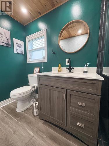 74 Main Street, Little Burnt Bay, NL - Indoor Photo Showing Bathroom