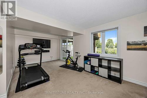 1114 Northgraves Crescent, Ottawa, ON - Indoor Photo Showing Gym Room