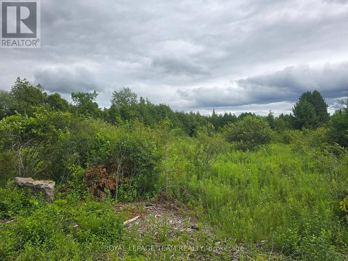 Pt Lt 26 Con 8  Pr116457 Buckwheat Road, Edwardsburgh/Cardinal, ON 