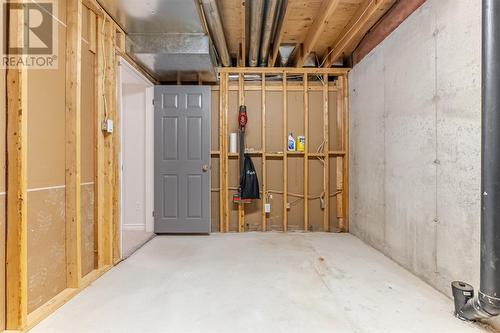 36 Bayberry Place, St. John'S, NL - Indoor Photo Showing Basement