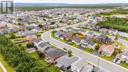 36 Bayberry Place, St. John'S, NL - Outdoor With View