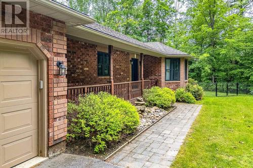 2367 Macdonald Road, Springwater, ON - Outdoor