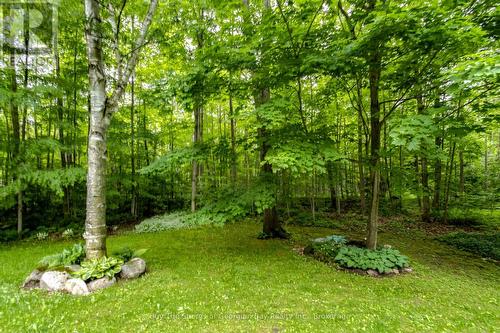 2367 Macdonald Road, Springwater, ON - Outdoor