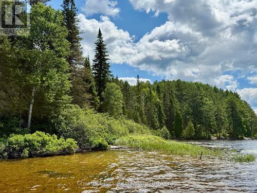 Shallow sandy entrance to the lease site - 17 Whitefish Lake Apl1582, Algonquin Highlands (Lawrence), ON - Outdoor With View