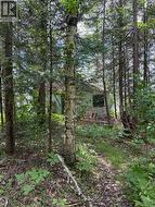 Level to low lying behind the cottage - 