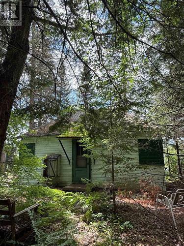 Site looks directly west. Sunsets!! - 17 Whitefish Lake Apl1582, Algonquin Highlands (Lawrence), ON - Outdoor