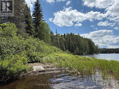 Overgrown entrance, cottage hiding close to shore - 17 Whitefish Lake Apl1582, Algonquin Highlands (Lawrence), ON - Outdoor With Body Of Water With View