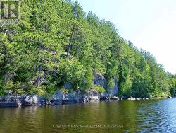 Beautiful Whitefish Lk. Swim/paddle/catch a trout - 