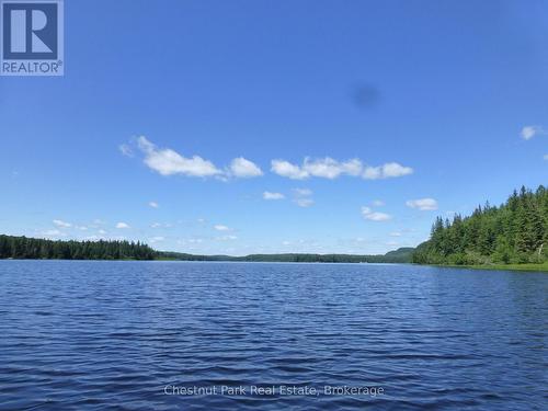 Park at the landing, paddle/boat to the site - 17 Whitefish Lake Apl1582, Algonquin Highlands (Lawrence), ON - Outdoor With Body Of Water With View