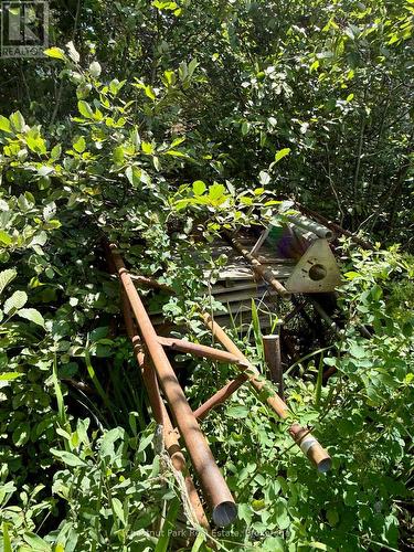 Old dock sections, may be usable - 17 Whitefish Lake Apl1582, Algonquin Highlands (Lawrence), ON - Outdoor
