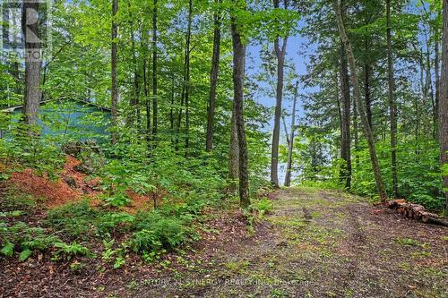 1362 Mosque Lake Lane, Frontenac (Frontenac North), ON - Outdoor