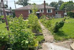 Backyard - 