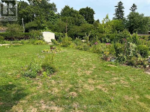 backyard 64x155.67 Ft with shed storage - 309 Queen Mary Drive, Oakville, ON - Outdoor