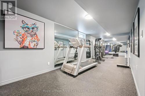 Incredible gym worthy of a personal trainer - 33 Edgehill Drive, Guelph (Exhibition Park), ON - Indoor Photo Showing Gym Room