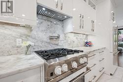 Bluestar gas stove comes with a never used griddle - 
