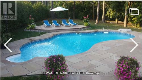 384 Kennedy Street W, Aurora, ON - Outdoor With In Ground Pool With Backyard