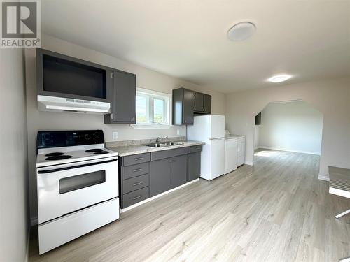 377 Main Road, Sheaves Cove, NL - Indoor Photo Showing Kitchen With Double Sink