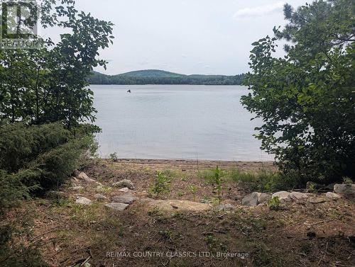 22 Swan Lane, Madawaska Valley, ON - Outdoor With Body Of Water With View