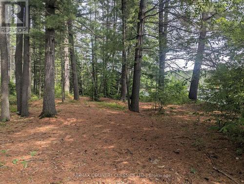 22 Swan Lane, Madawaska Valley, ON - Outdoor With View