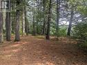 22 Swan Lane, Madawaska Valley, ON  - Outdoor With View 