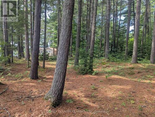 22 Swan Lane, Madawaska Valley, ON - Outdoor With View