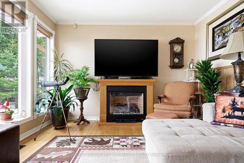 6588 Tree Haven Road, South Glengarry, ON - Indoor Photo Showing Living Room With Fireplace