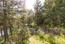 6415 Kennisis Lake Road, Dysart Et Al, ON 