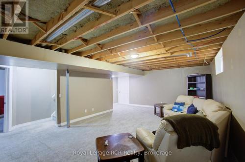 105 Milton Seiler Crescent, Minto, ON - Indoor Photo Showing Basement