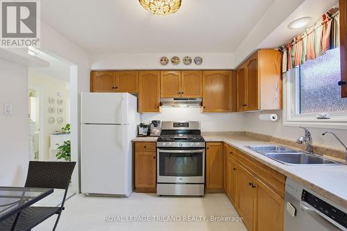 117 Bournemouth Drive, London East (East I), ON - Indoor Photo Showing Kitchen With Double Sink