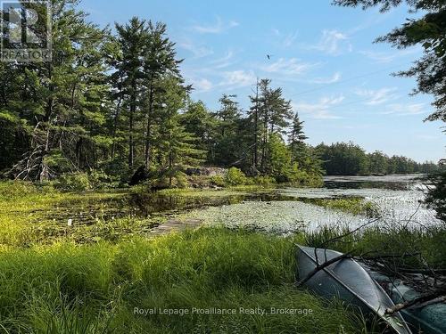 224 Fire Route 91, Havelock-Belmont-Methuen, ON - Outdoor With View