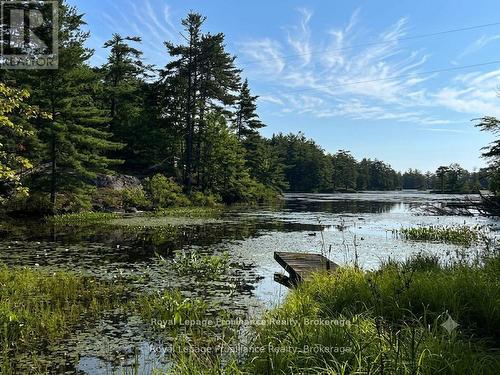 224 Fire Route 91, Havelock-Belmont-Methuen, ON - Outdoor With Body Of Water With View