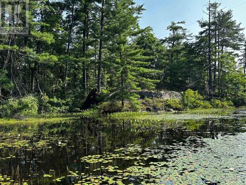 224 Fire Route 91, Havelock-Belmont-Methuen, ON - Outdoor With View