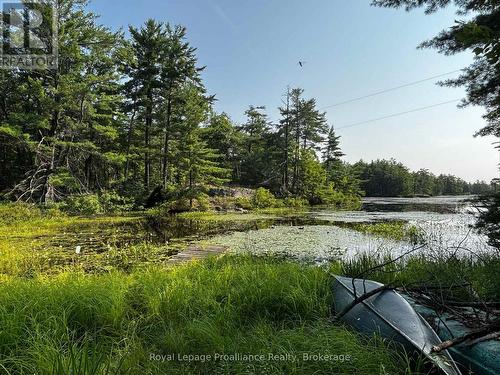 224 Fire Route 91, Havelock-Belmont-Methuen, ON - Outdoor With View