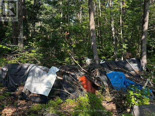 materials to frame a boathouse under tarp - 224 Fire Route 91, Havelock-Belmont-Methuen, ON - Outdoor