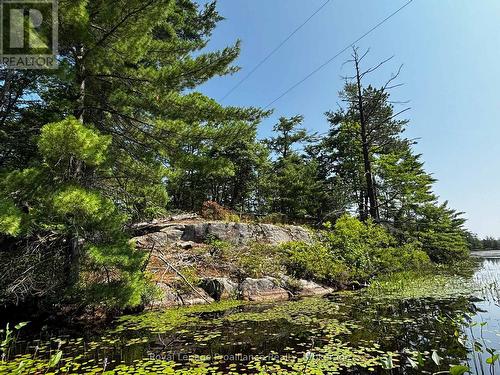 224 Fire Route 91, Havelock-Belmont-Methuen, ON - Outdoor