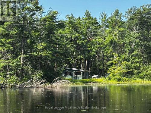 224 Fire Route 91, Havelock-Belmont-Methuen, ON - Outdoor With Body Of Water