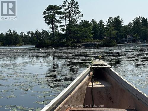 224 Fire Route 91, Havelock-Belmont-Methuen, ON - Outdoor With Body Of Water With View
