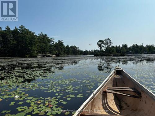 224 Fire Route 91, Havelock-Belmont-Methuen, ON - Outdoor With Body Of Water With View