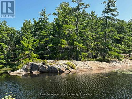 224 Fire Route 91, Havelock-Belmont-Methuen, ON - Outdoor With Body Of Water