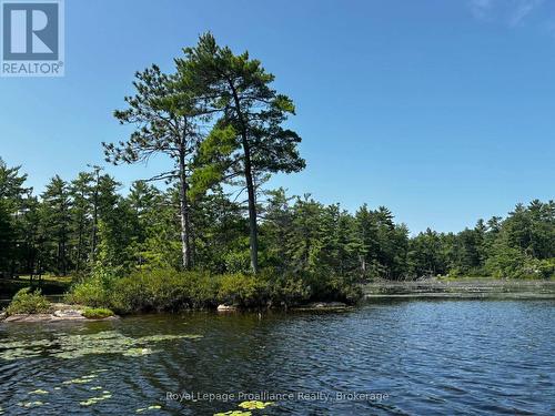 224 Fire Route 91, Havelock-Belmont-Methuen, ON - Outdoor With Body Of Water With View