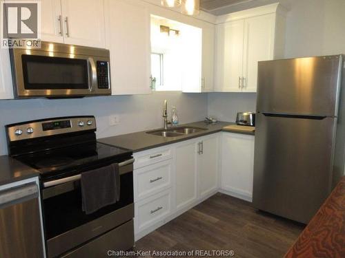 43 Hannibal Street, Blenheim, ON - Indoor Photo Showing Kitchen With Double Sink