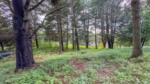 Lot - 18 Ch. Courte, Arundel, QC 
