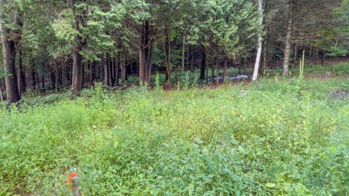 Lot - 18 Ch. Courte, Arundel, QC 