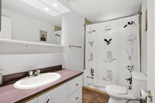 Dwelling - 215  - 217 Ch. Paquette, Mont-Tremblant, QC - Indoor Photo Showing Bathroom