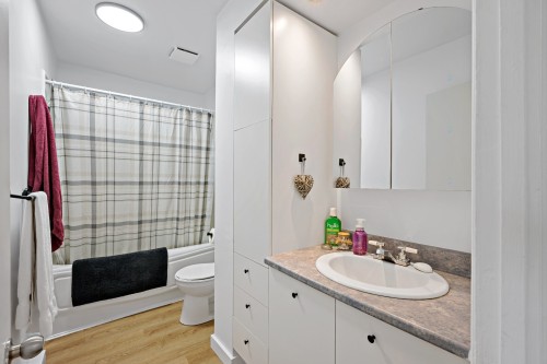 Dwelling - 215  - 217 Ch. Paquette, Mont-Tremblant, QC - Indoor Photo Showing Bathroom