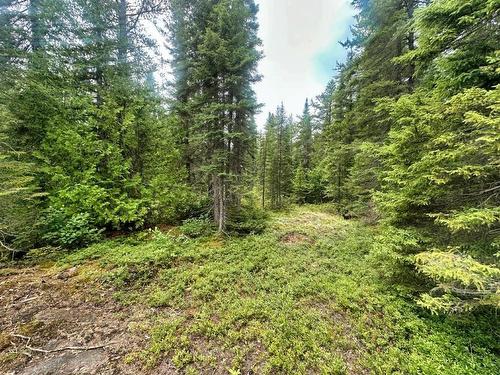 Pcl 9169 Cavern Road, Dorion, ON 