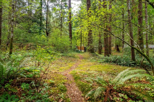 307 Bates Dr, Fanny Bay, BC 