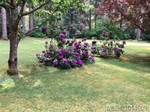 307 Bates Dr, Fanny Bay, BC 