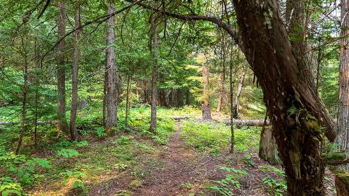 Upper Passmore Rd Road, Passmore, BC 